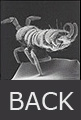 Click to go back to the previous page