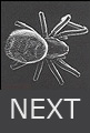 Click to go to the next page
